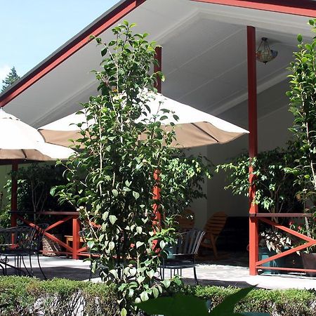 Cielito Sur Bed & Breakfast Inn 세로 푼타 외부 사진