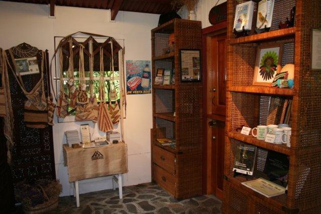 Cielito Sur Bed & Breakfast Inn 세로 푼타 외부 사진